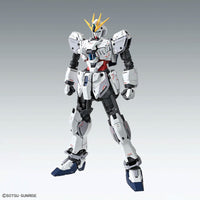 MG 1/100 Narrative Gundam C-Packs Ver. Ka